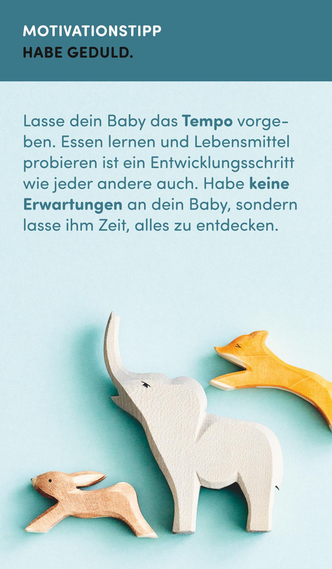 Beispielinhalt (Bild) Die Breifrei-Box