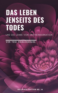 Vorderes Coverbild Das Leben jenseits des Todes