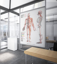 Vorderes Coverbild AMM & TCM Meridian Plakat Dorsal DIN A2