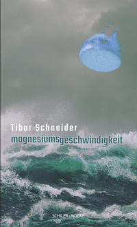 Vorderes Coverbild magnesiumsgeschwindigkeit