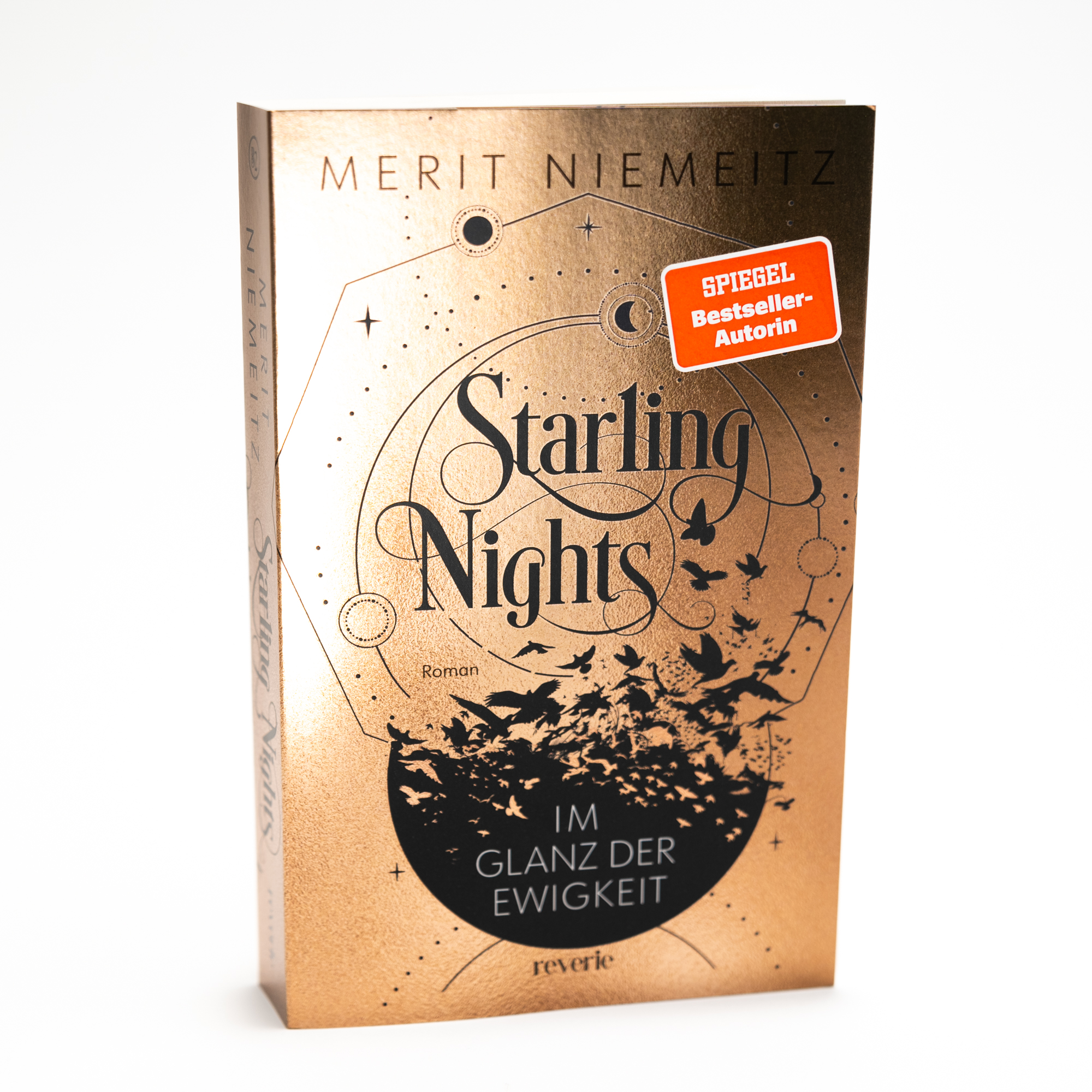 Beispielinhalt (Bild) Starling Nights 2