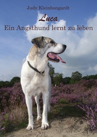 Vorderes Coverbild Luca