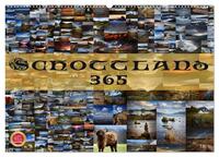 Vorderes Coverbild Schottland 365 (Wandkalender 2025 DIN A2 quer), CALVENDO Monatskalender