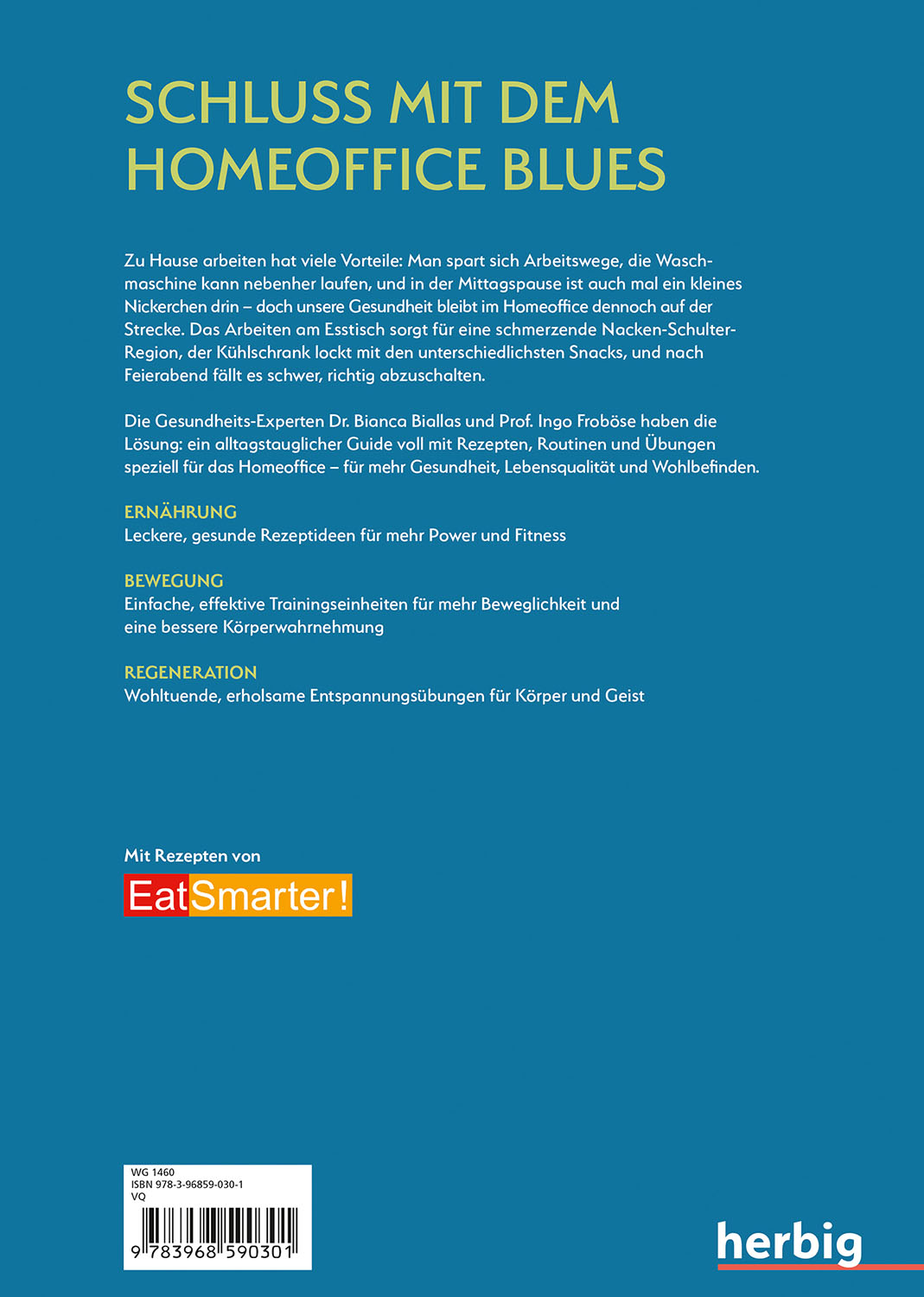 Rückseitencover Der große Homeoffice Guide