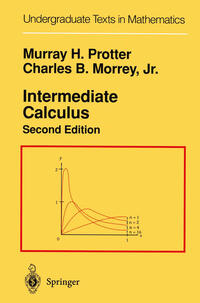 Vorderes Coverbild Intermediate Calculus