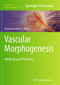 Vorderes Coverbild Vascular Morphogenesis