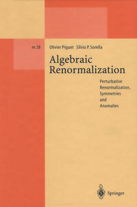 Vorderes Coverbild Algebraic Renormalization