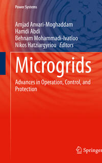 Vorderes Coverbild Microgrids