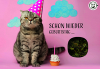Vorderes Coverbild Schon wieder Geburtstag ...
