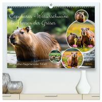 Vorderes Coverbild Capybaras - Wasserschweine die Herren der Gräser (hochwertiger Premium Wandkalender 2025 DIN A2 quer), Kunstdruck in Hochglanz