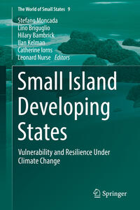 Vorderes Coverbild Small Island Developing States
