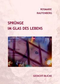 Vorderes Coverbild Sprünge im Glas des Lebens