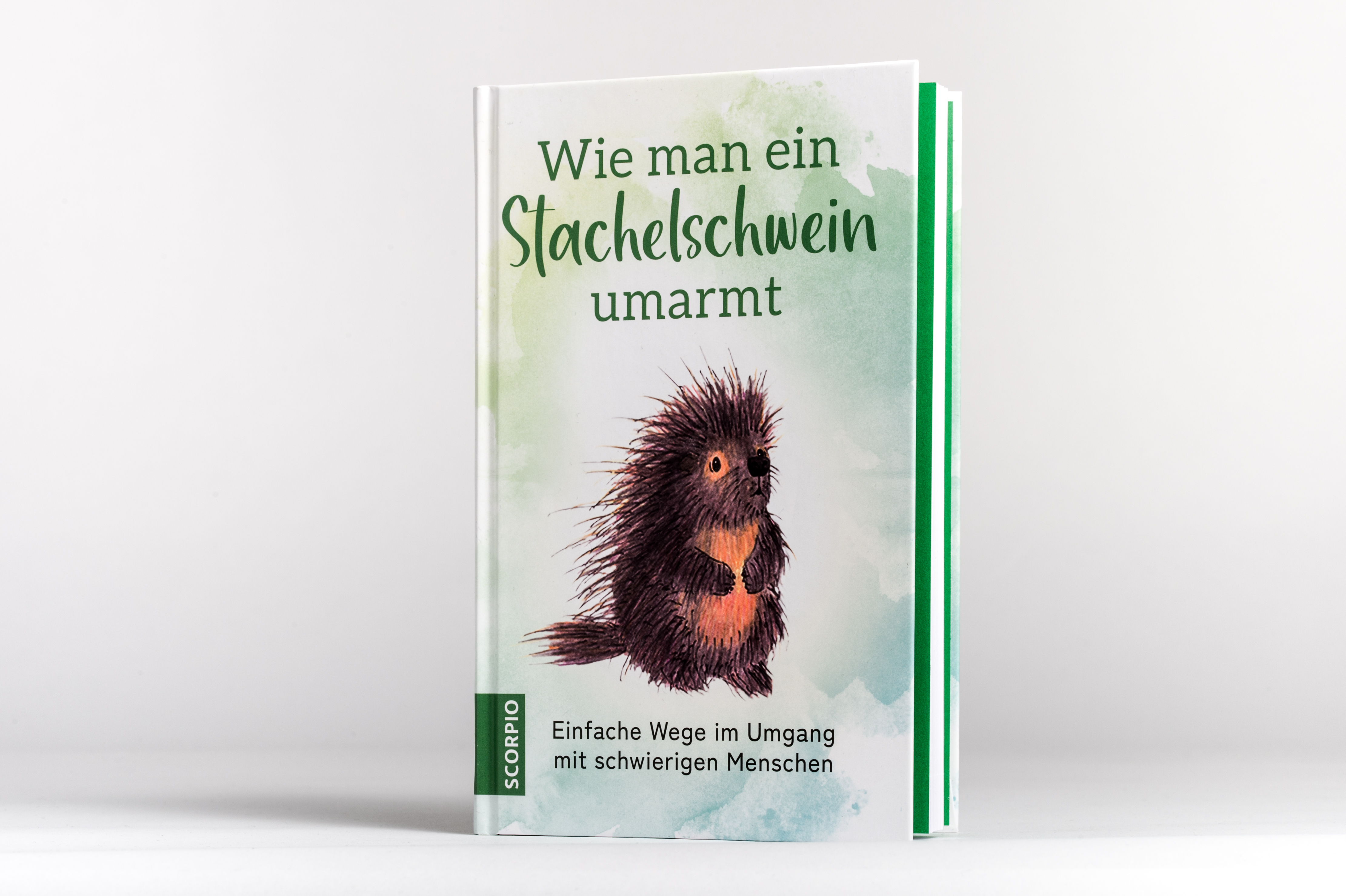 Beispielinhalt (Bild) Wie man ein Stachelschwein umarmt