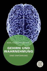 Vorderes Coverbild Gehirn und Wahrnehmung