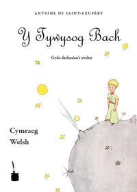 Vorderes Coverbild Y Tywysog Bach