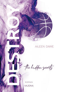 Vorderes Coverbild DESTROY the hidden secrets (DESTROY-Reihe 1)