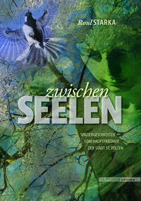 Vorderes Coverbild Zwischen Seelen