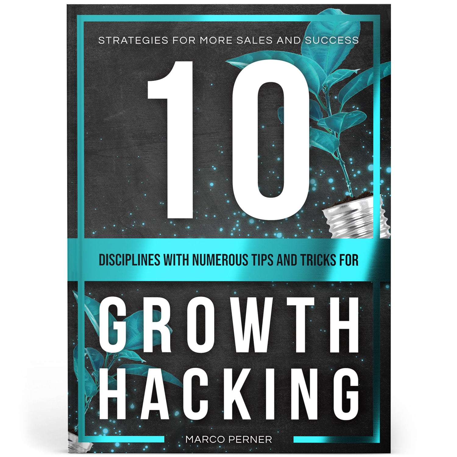 Anderes Coverbild 10 Disciplines With Numerous Tips and Tricks for Growth Hacking