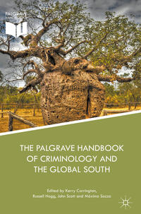 Vorderes Coverbild The Palgrave Handbook of Criminology and the Global South