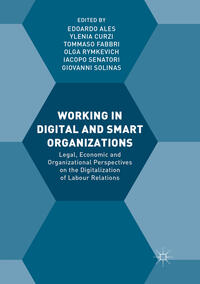 Vorderes Coverbild Working in Digital and Smart Organizations