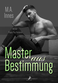 Vorderes Coverbild Master aus Bestimmung