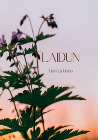 Vorderes Coverbild Laidun