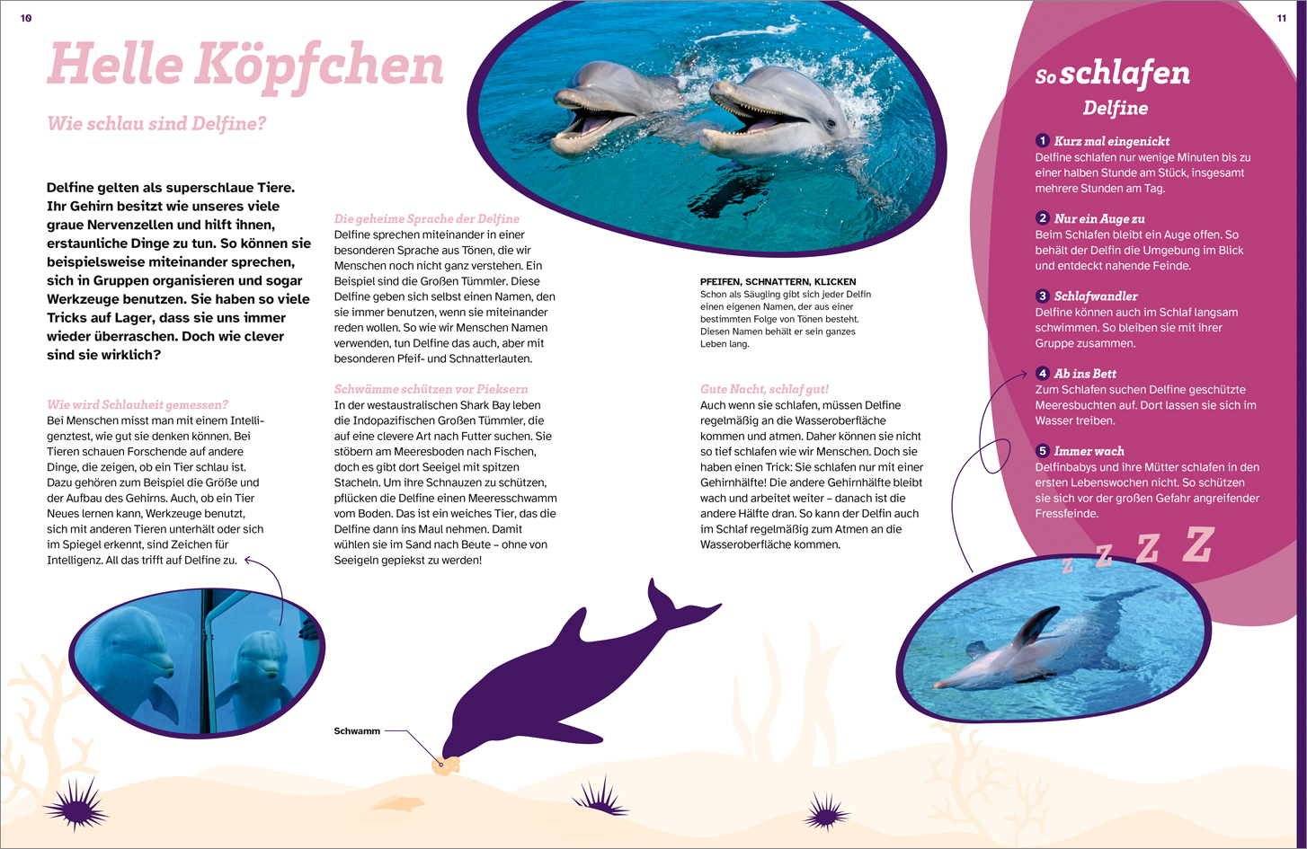 Beispielinhalt (Bild) WAS IST WAS Delfine. Immer im Team