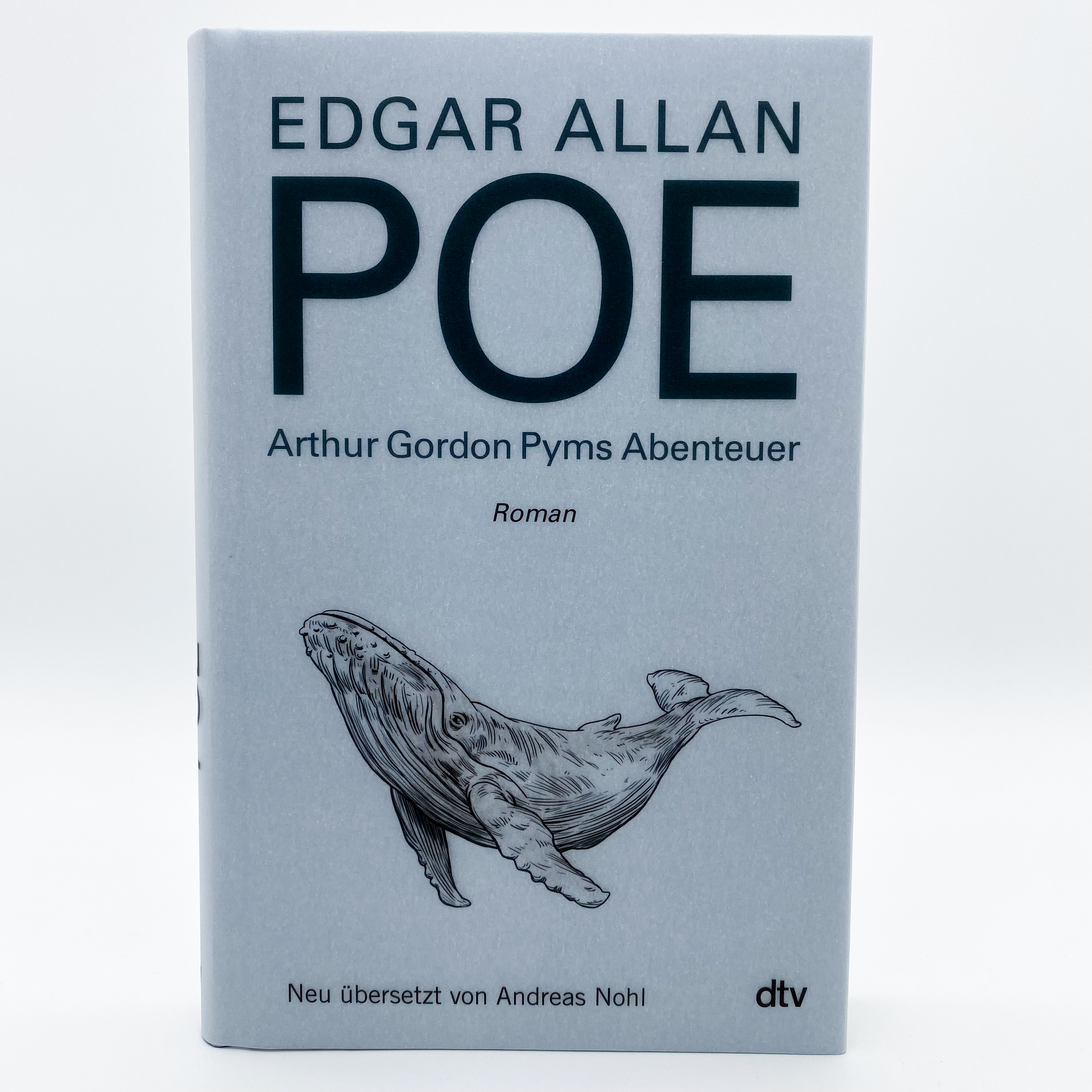 Beispielinhalt (Bild) Arthur Gordon Pyms Abenteuer