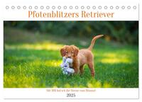 Vorderes Coverbild Pfotenblitzers Retriever Mit DIR hol ich die Sterne vom Himmel (Tischkalender 2025 DIN A5 quer), CALVENDO Monatskalender