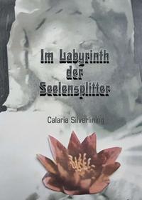 Vorderes Coverbild Im Labyrinth der Seelensplitter