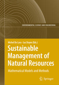 Vorderes Coverbild Information Technologies in Environmental Engineering
