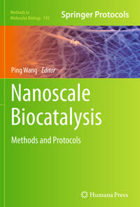 Vorderes Coverbild Nanoscale Biocatalysis