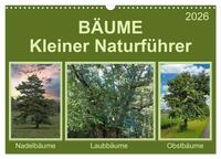 Vorderes Coverbild Bäume Kleiner Naturführer (Wandkalender 2026 DIN A3 quer), CALVENDO Monatskalender