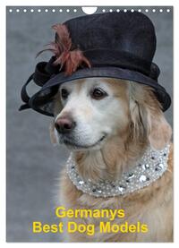 Vorderes Coverbild Germanys Best Dog Models - gestylte Labrador und Golden Retriever (Wandkalender 2025 DIN A4 hoch), CALVENDO Monatskalender