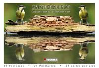 Vorderes Coverbild Gartenfreunde