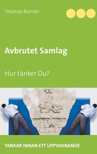 Vorderes Coverbild Avbrutet Samlag