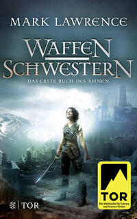 Vorderes Coverbild Waffenschwestern