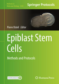 Vorderes Coverbild Epiblast Stem Cells