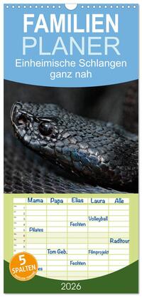 Vorderes Coverbild Familienplaner 2026 - Einheimische Schlangen ganz nah mit 5 Spalten (Wandkalender, 21 x 45 cm) CALVENDO