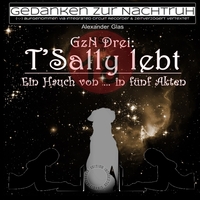 Vorderes Coverbild GzN Drei: T'Sally lebt