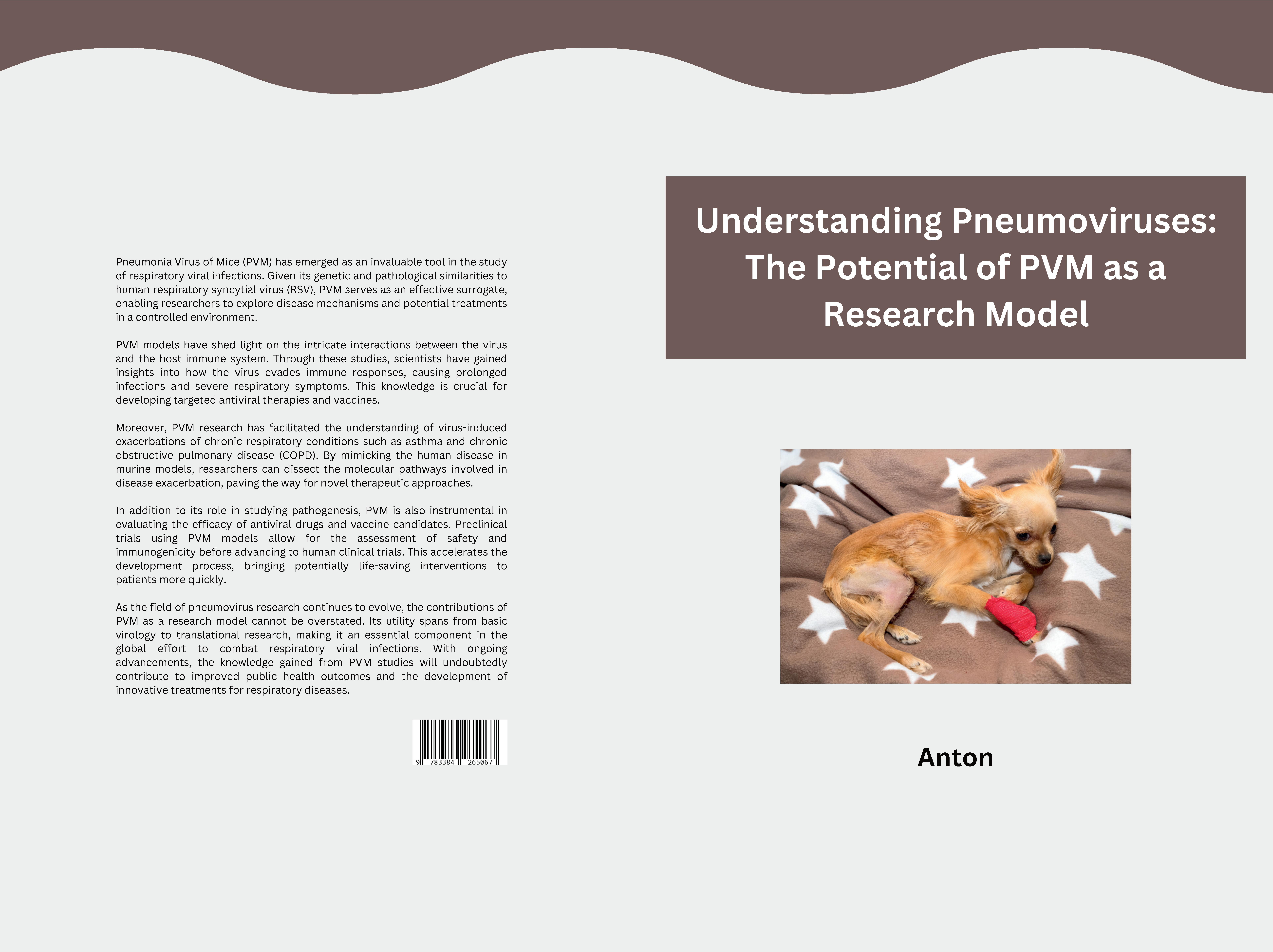 Gesamtes Coverbild Understanding Pneumoviruses: The Potential of PVM as a Research Model