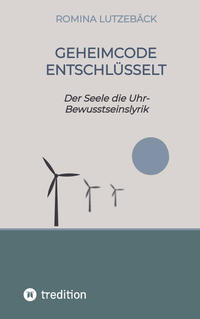 Vorderes Coverbild Geheimcode entschlüsselt