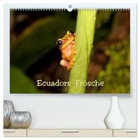 Vorderes Coverbild Ecuadors Frösche (hochwertiger Premium Wandkalender 2025 DIN A2 quer), Kunstdruck in Hochglanz