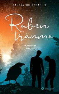 Vorderes Coverbild Rabenträume – Traumtürchen Band 2