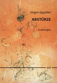Vorderes Coverbild Abstürze