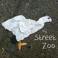 Vorderes Coverbild My Street Zoo
