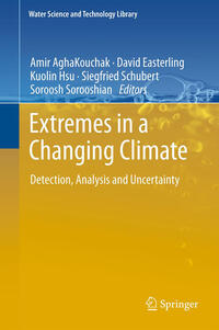 Vorderes Coverbild Extremes in a Changing Climate