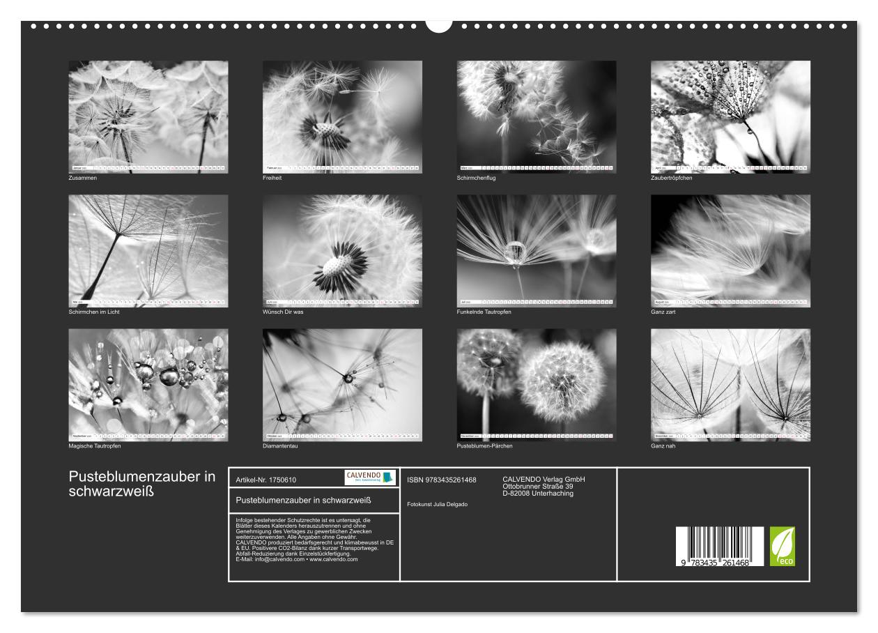 Beispielinhalt (Bild) Pusteblumenzauber in schwarzweiß (hochwertiger Premium Wandkalender 2025 DIN A2 quer), Kunstdruck in Hochglanz