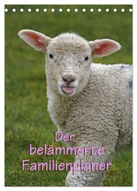Vorderes Coverbild Der belämmerte Familienplaner (Tischkalender 2026 DIN A5 hoch), CALVENDO Monatskalender
