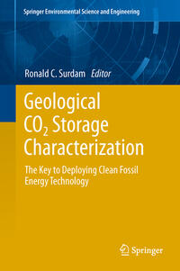 Vorderes Coverbild Geological CO2 Storage Characterization